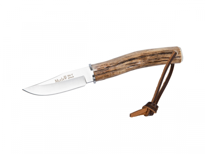 Muela BOWIE STAG BW-6A C49000BW6A