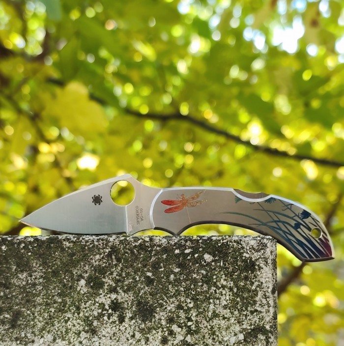 Spyderco Dragonfly 2 SC28PT