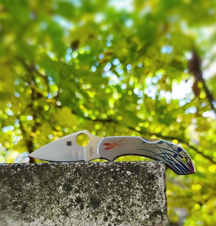 Spyderco Dragonfly 2 SC28PT