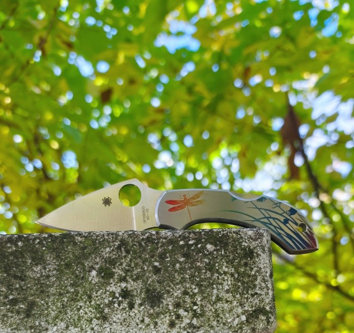 Spyderco Dragonfly 2 SC28PT