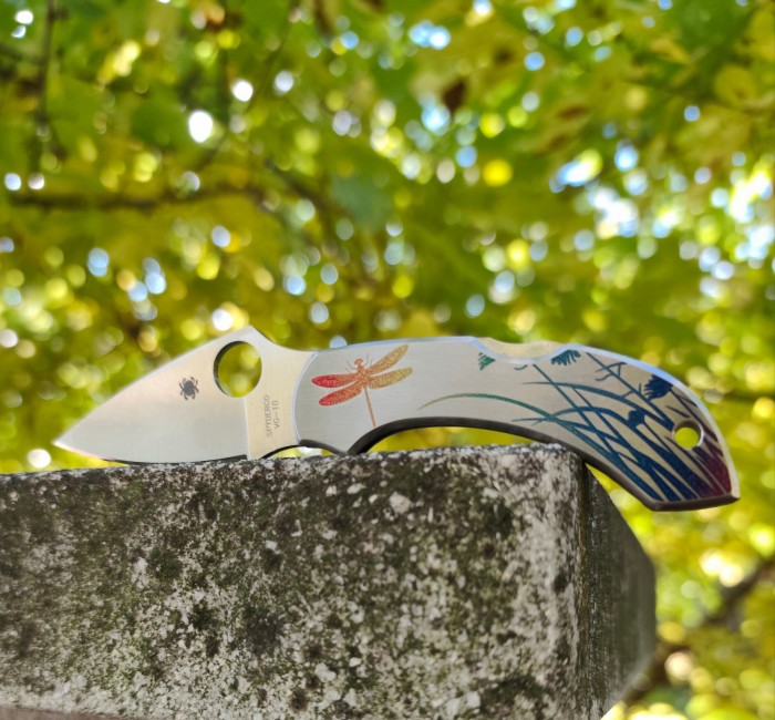 Spyderco Dragonfly 2 SC28PT