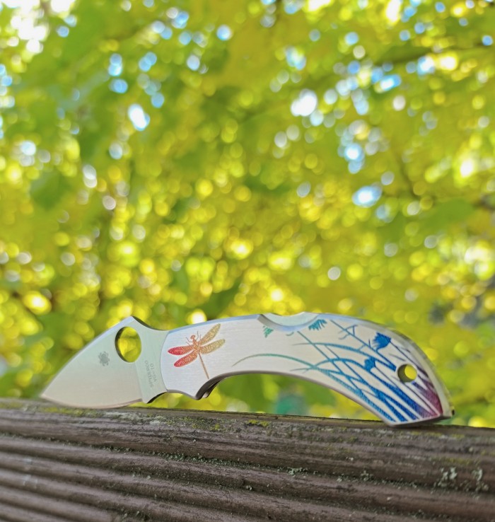 Spyderco Dragonfly 2 SC28PT