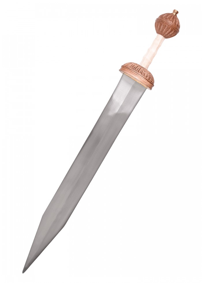 Gladius Mainz tipusú kard Replika! 0180000800