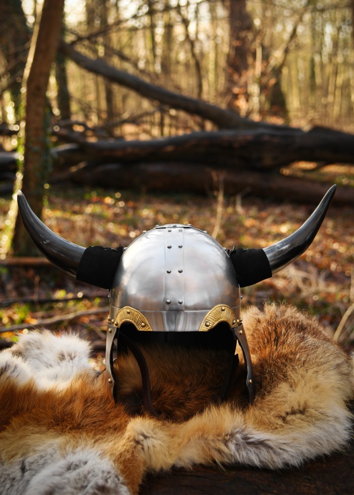 Viking Szarvas Sisak 1709101412