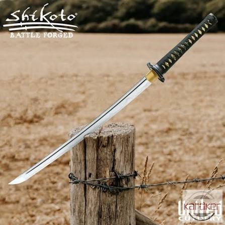 United Cutlery Shikoto Longquan Master Wakazashi UC3192