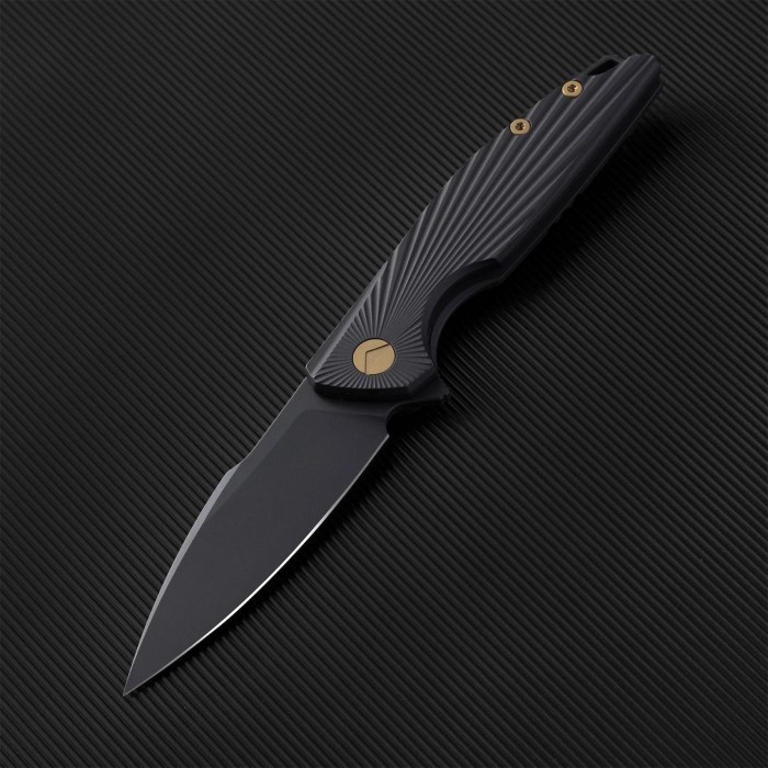 FerraMonster Aurora Rays Framelock Ti Black FMR23002C